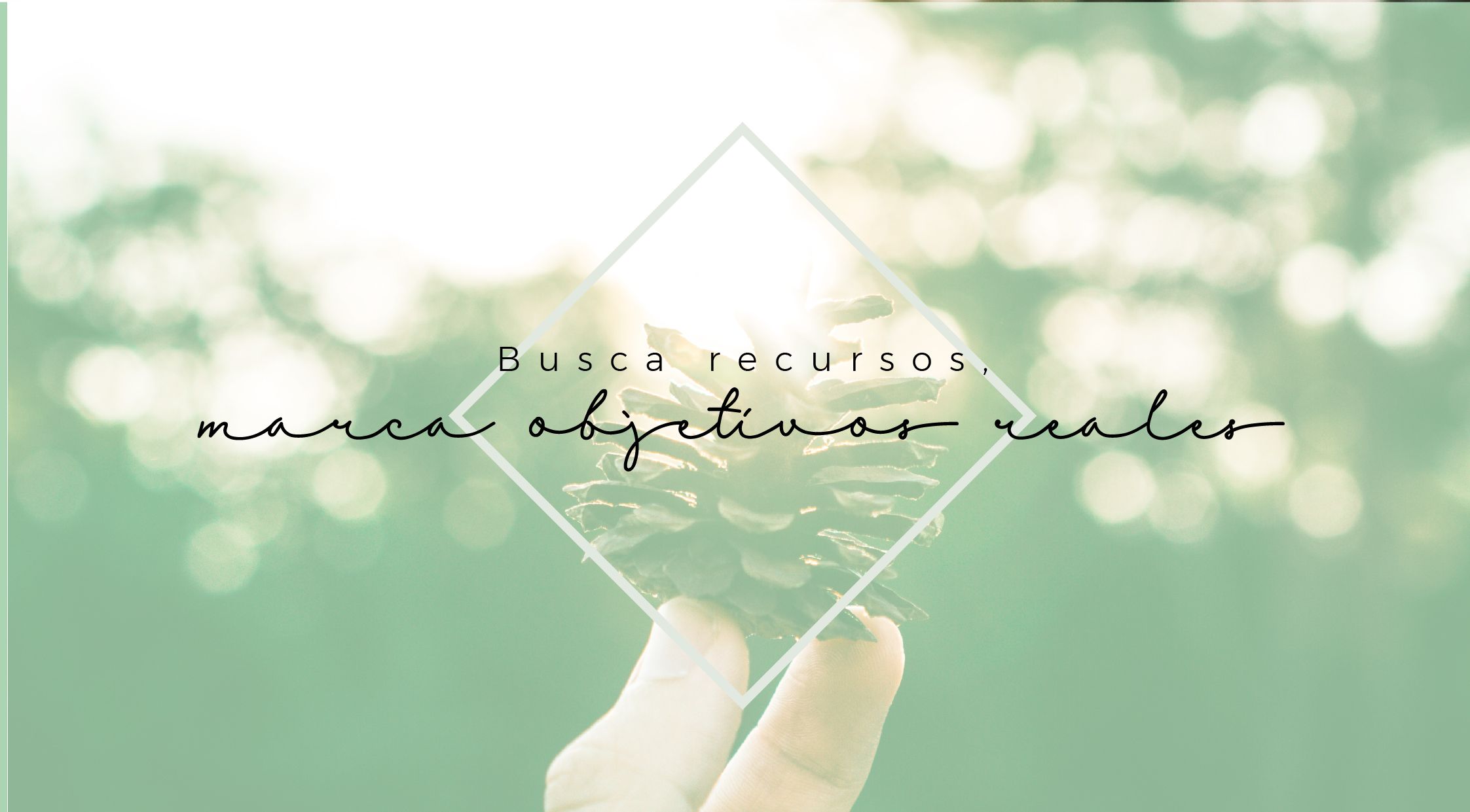 objetivos reales